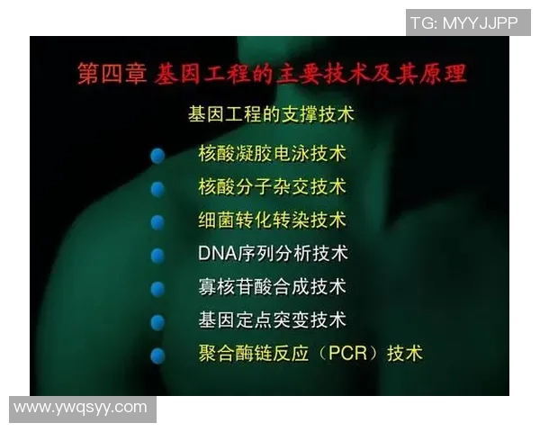 游泳对身体健康的多重益处及其促进身心协调的科学原理解析